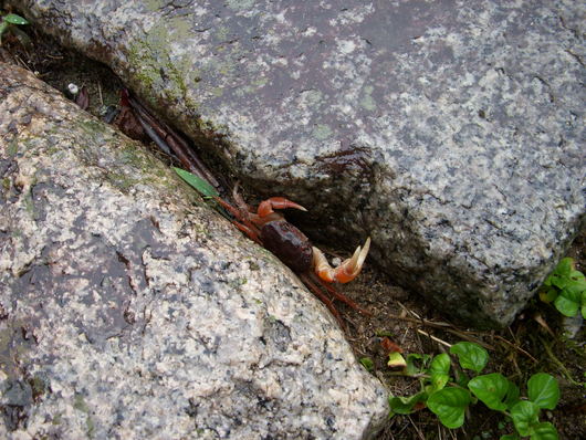 f0260120_22454023.jpg