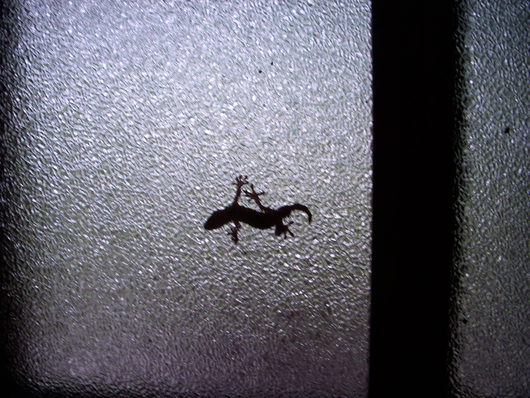 f0260120_22574558.jpg