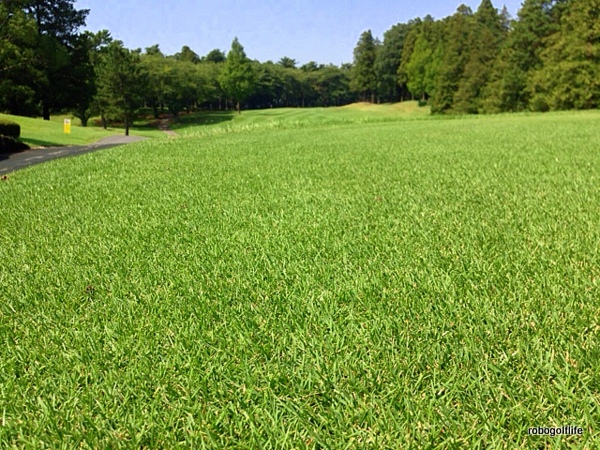 c0199829_22141526.jpg
