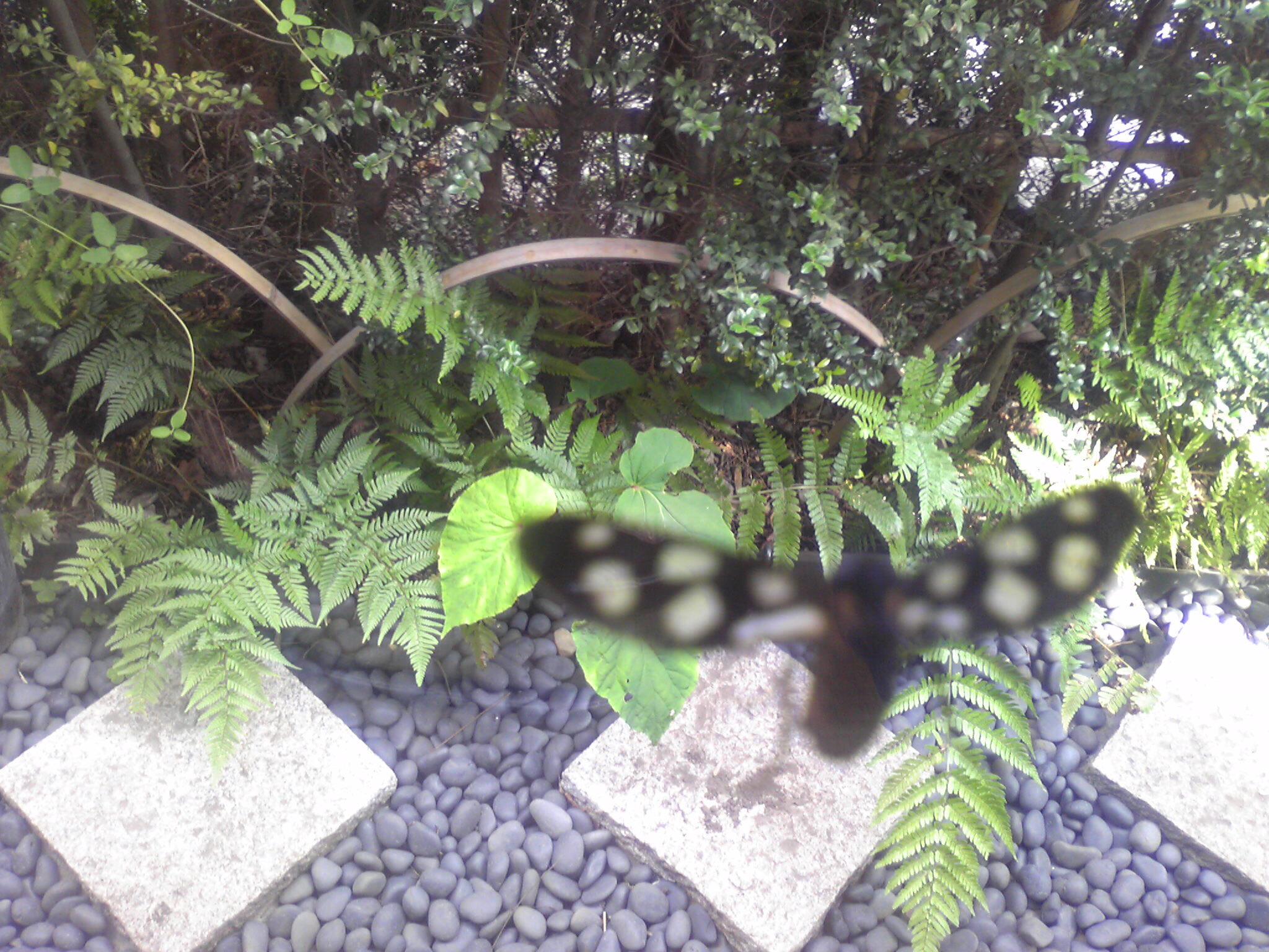 c0211734_1843831.jpg