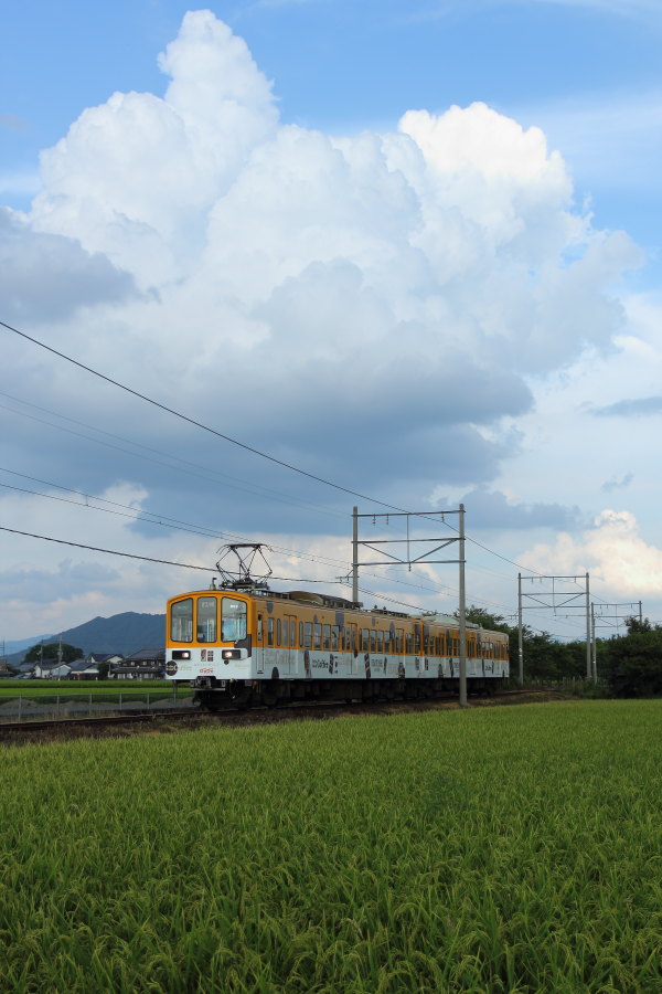 d0226336_0245181.jpg