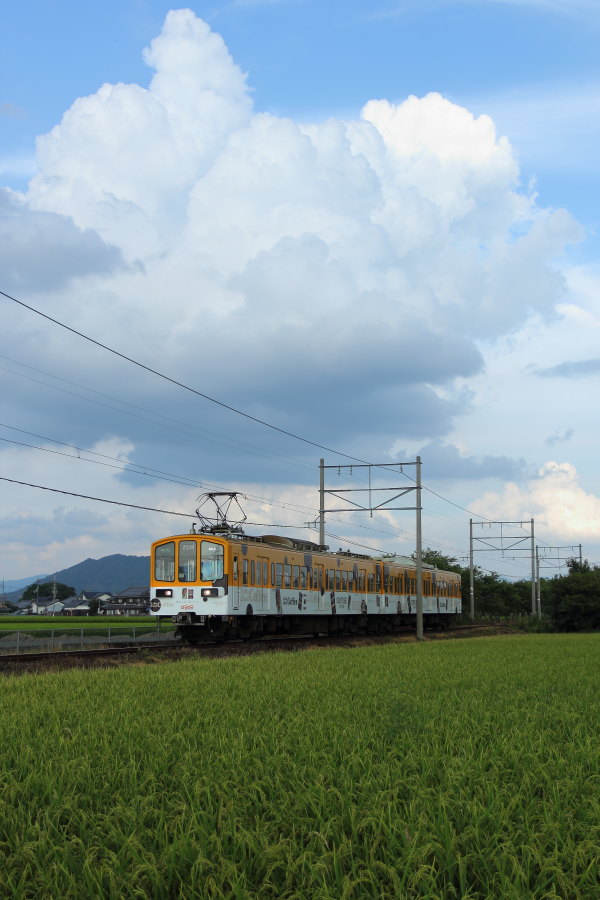 ラッピング列車_d0226336_0245181.jpg