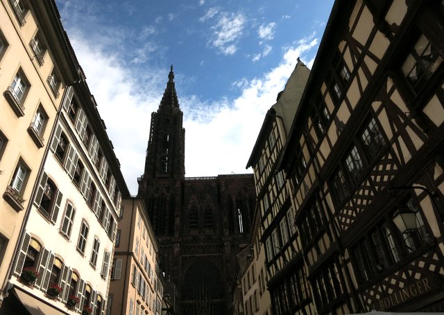f0210340_41546.jpg