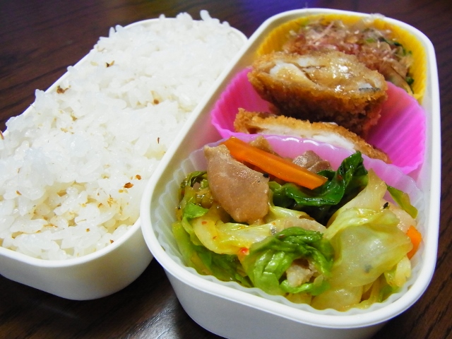 ある日のお弁当（ホイコーロー）_b0287241_6382426.jpg