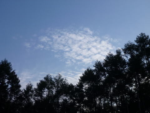 e0161972_21235942.jpg