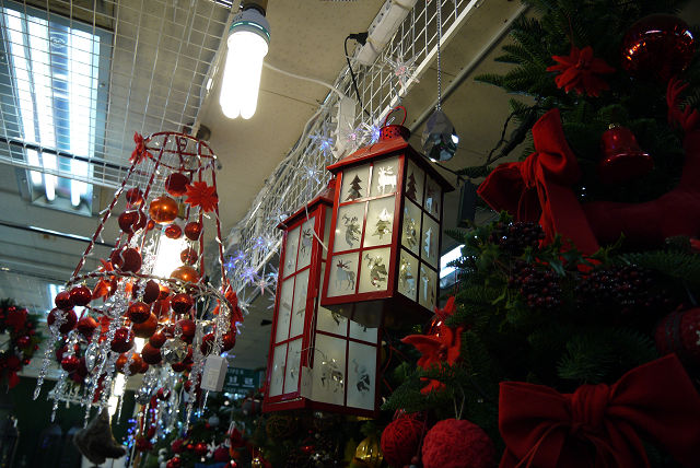 f0219373_22173669.jpg