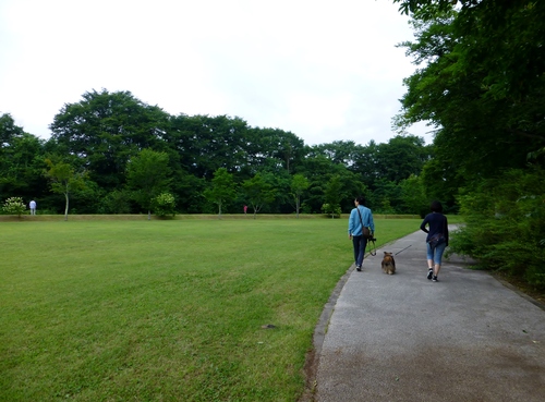 軽井沢　願ったり叶ったり公園_a0157174_17311926.jpg