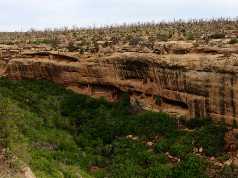 2013/08/06 Summer USA Trip -Mesa Verde National Park Trail Running-_b0220886_1353126.jpg