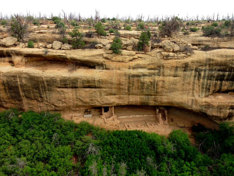 2013/08/06 Summer USA Trip -Mesa Verde National Park Trail Running-_b0220886_1354455.jpg
