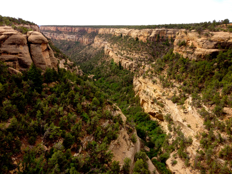 2013/08/06 Summer USA Trip -Mesa Verde National Park Trail Running-_b0220886_13552495.jpg