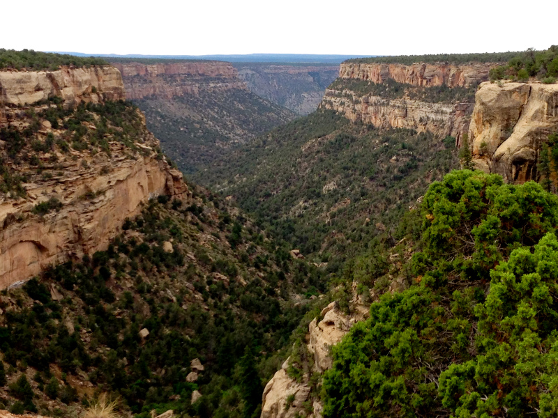 2013/08/06 Summer USA Trip -Mesa Verde National Park Trail Running-_b0220886_13555162.jpg