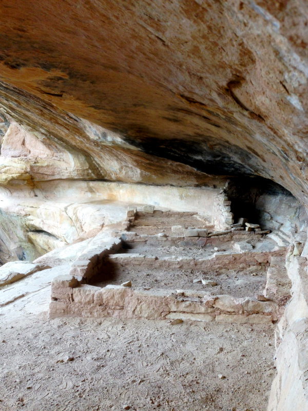 2013/08/06 Summer USA Trip -Mesa Verde National Park Trail Running-_b0220886_14304835.jpg