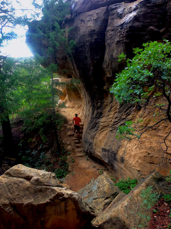 2013/08/06 Summer USA Trip -Mesa Verde National Park Trail Running-_b0220886_14363920.jpg