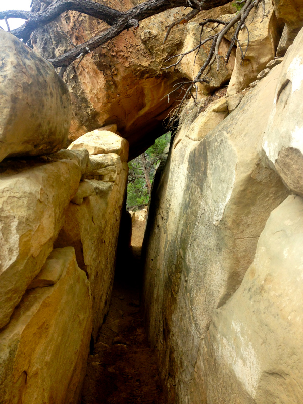 2013/08/06 Summer USA Trip -Mesa Verde National Park Trail Running-_b0220886_14391156.jpg