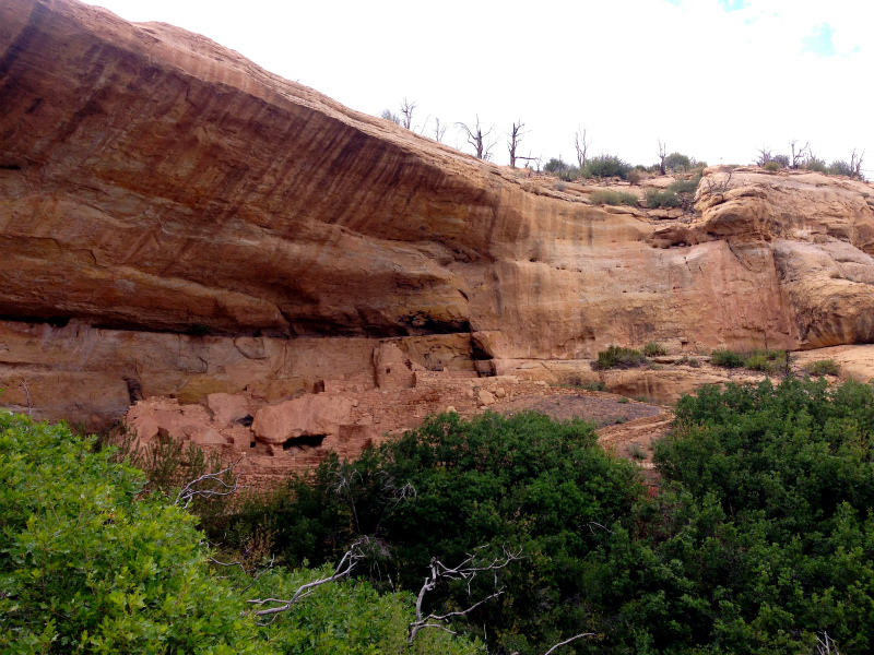 2013/08/06 Summer USA Trip -Mesa Verde National Park Trail Running-_b0220886_1458789.jpg