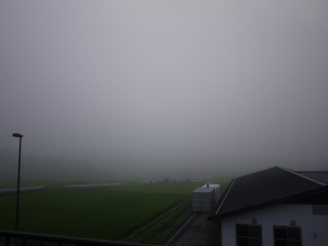 b0190092_21205957.jpg