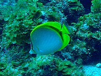f0079996_15551873.jpg