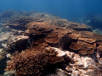 f0079996_1612315.jpg