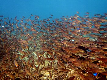 f0079996_1692480.jpg