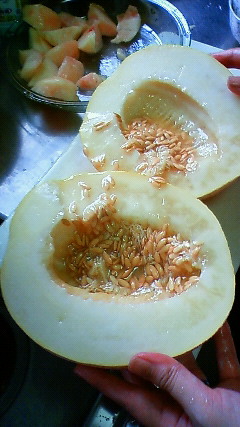 c0017505_2075771.jpg