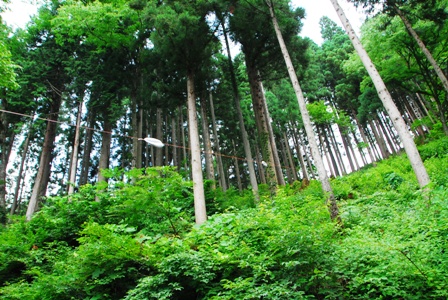 d0180110_21313185.jpg