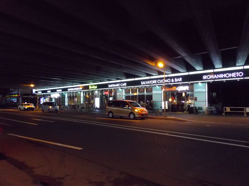 札幌駅ガード下で飲み会_c0025115_23545015.jpg