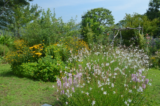 e0135518_1416496.jpg