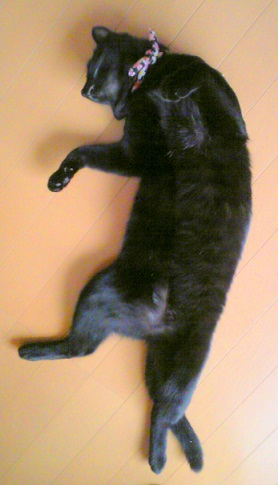 c0280322_15574383.jpg