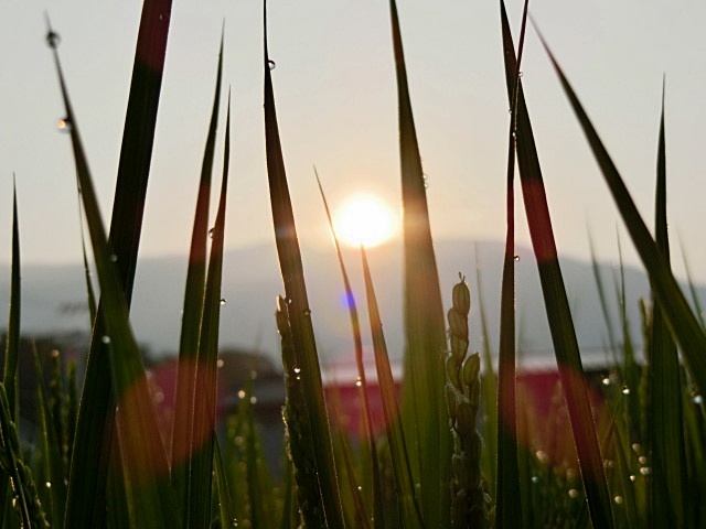 e0234924_7365288.jpg