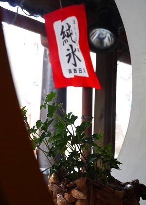 清涼感いっぱい~♪ ~ページワン (京都)~_c0235725_21144080.jpg