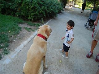 e0120938_181982.jpg