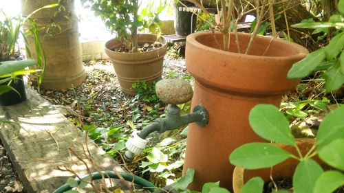 f0177841_14509.jpg