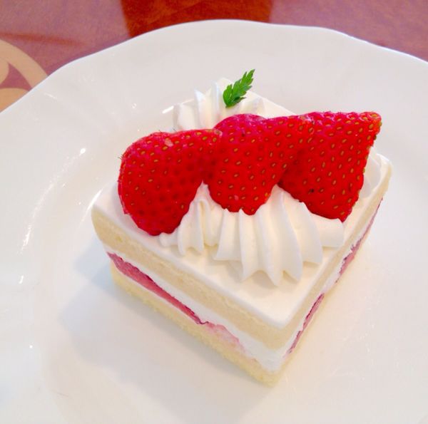 パーゴラ_e0292546_2291749.jpg