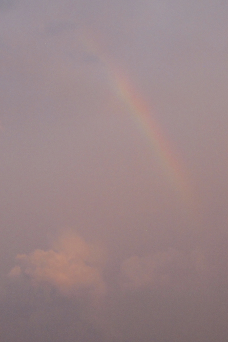 f0281446_8145995.jpg