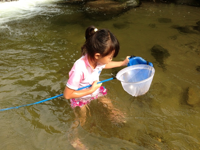 7月30日（火）　　　意地の川遊び_a0226858_654248.jpg