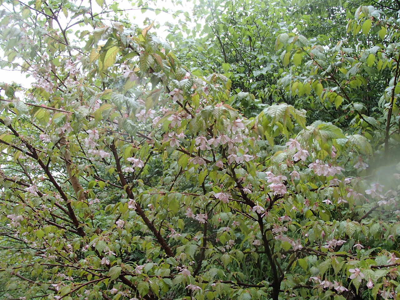 b0276758_14574650.jpg