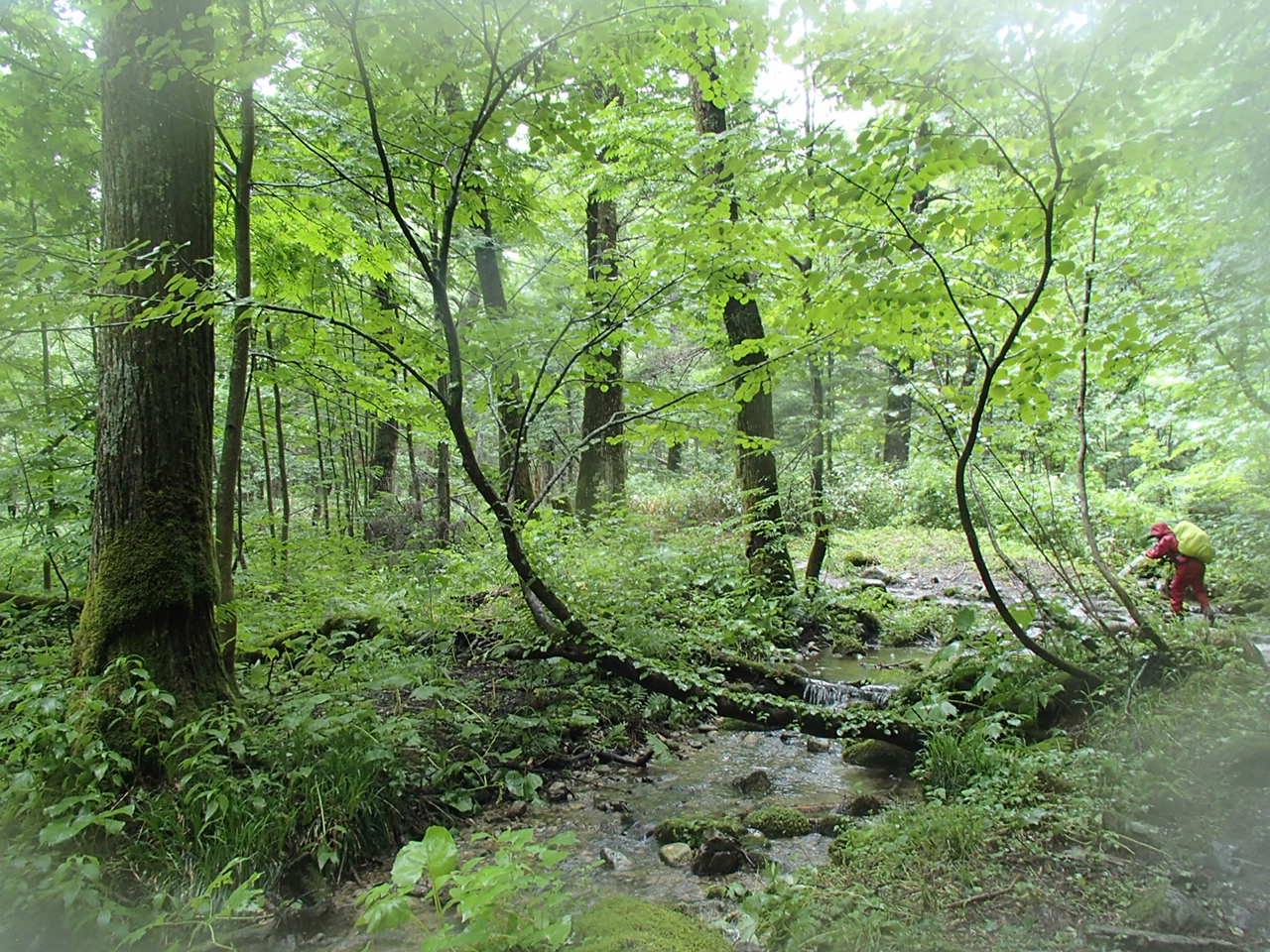 b0276758_1510254.jpg