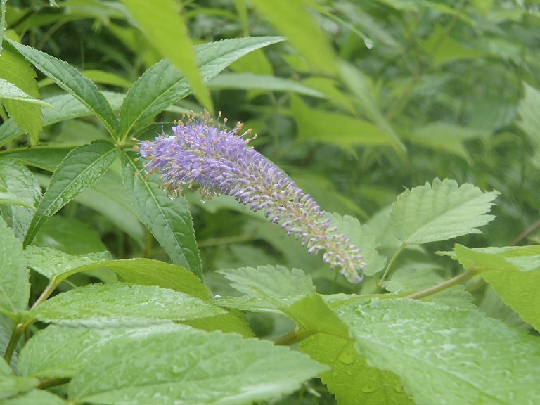 b0276758_15202575.jpg