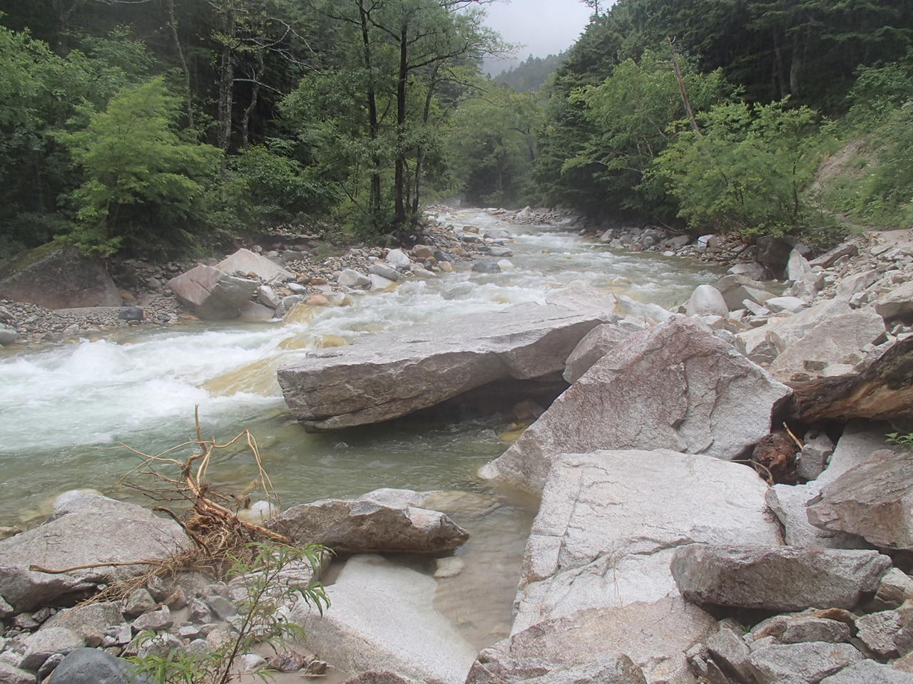 b0276758_1583151.jpg