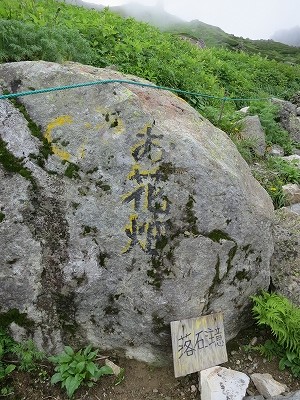 e0170558_1552090.jpg