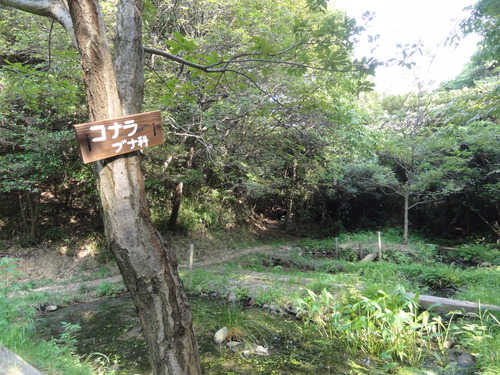 c0108460_21135286.jpg
