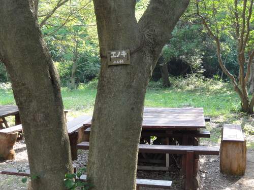 c0108460_21142491.jpg