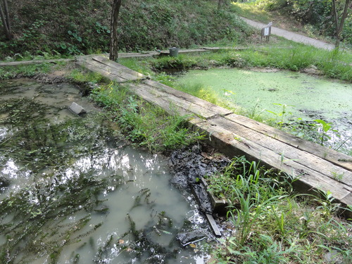 c0108460_2173732.jpg