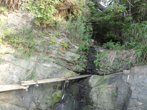 c0108460_218016.jpg
