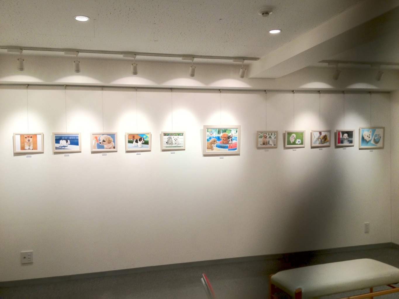 【お知らせ】DOG dog展　銀座の展覧会に犬の絵を出展します！_a0021565_020062.jpg