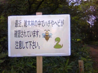 f0291565_1715591.jpg
