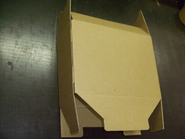 お見舞い用花束ケース2_e0189870_16342211.jpg