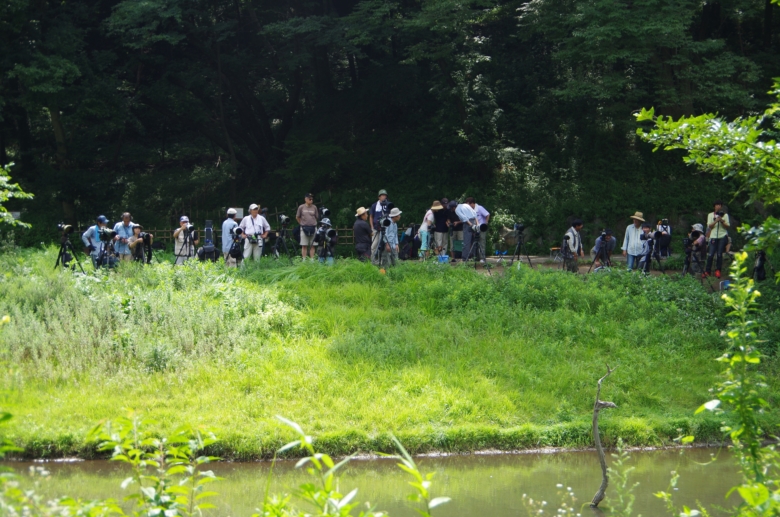 県立四季の森公園－１_d0031171_85530100.jpg