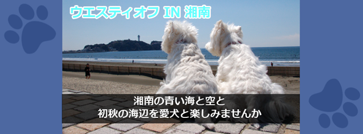 b0242873_23311142.png