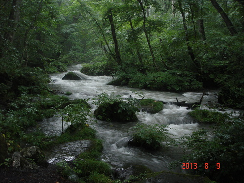 IMG_6991_1600x.jpg?v=1711968934